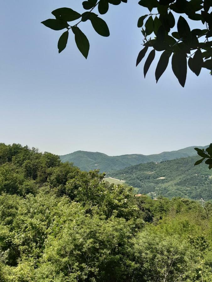 Country Residence Turicchi Londa Exterior foto